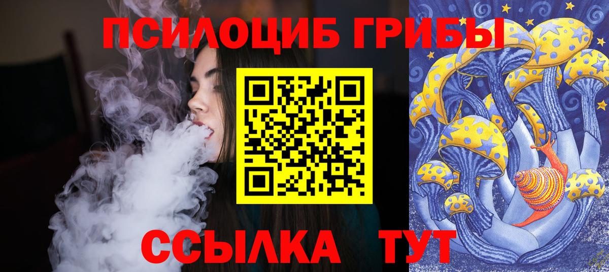 купить наркоту  Галлюциногенные грибы мухоморы  Вход с VPN  Салехард 